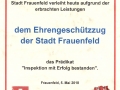 Inspektion_Geschuetzzug_Frauenfeld