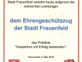 Inspektion_Geschuetzzug_Frauenfeld